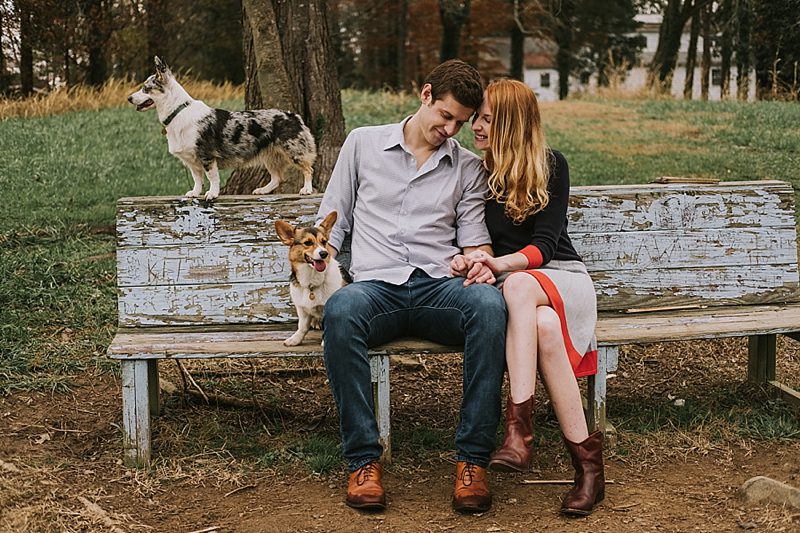 Raleigh engagement session with corgis Raleigh engagement session with corgis