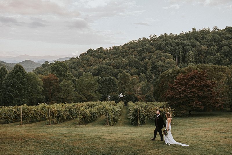The vineyards at bettys creek sylva nc wedding The vineyards at bettys creek sylva nc wedding