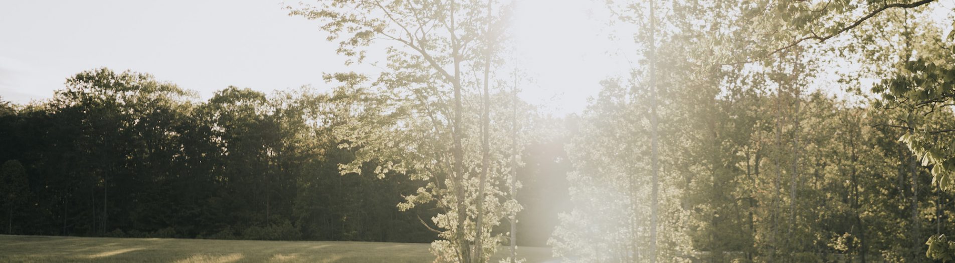 Luna's Trail Farm Wedding near Winston Salem, NC Featuring Monique Lhuillier Gown | Ashley + Zach