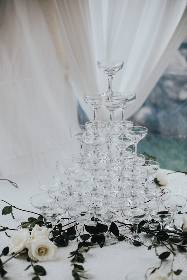 Conservatory on Biltmore Estate Wedding Reception 03