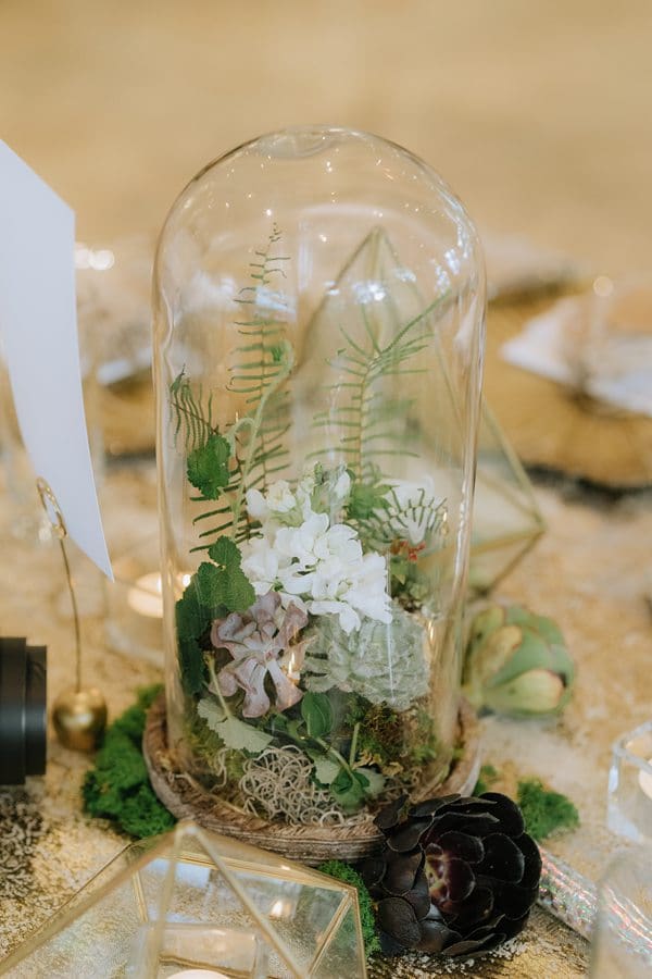 Durham Luxury Wedding Photographer Fearrington Arab Wedding x Durham Luxury Wedding Photographer Fearrington Arab Wedding x