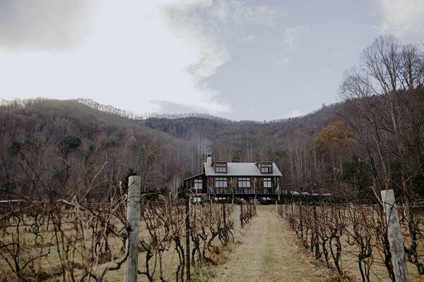 Vineyards at Bettys Creek Best Asheville Wedding Venue26