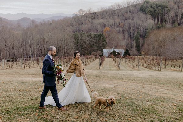 Vineyards at Bettys Creek Best Asheville Wedding Venue44 Vineyards at Bettys Creek Best Asheville Wedding Venue44