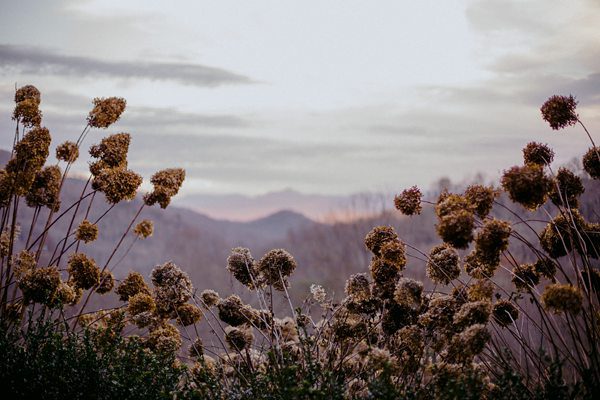 Vineyards at Bettys Creek Best Asheville Wedding Venue47