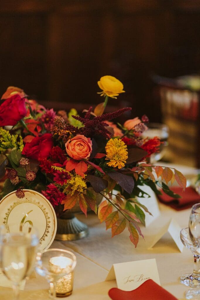 Asheville Editorial Documentary Wedding Photographer x Asheville Editorial Documentary Wedding Photographer x
