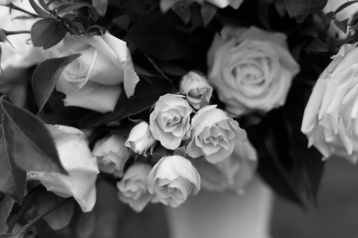 Biltmore Estate Wedding Asheville NC Wedding Photographer x Biltmore Estate Wedding Asheville NC Wedding Photographer x