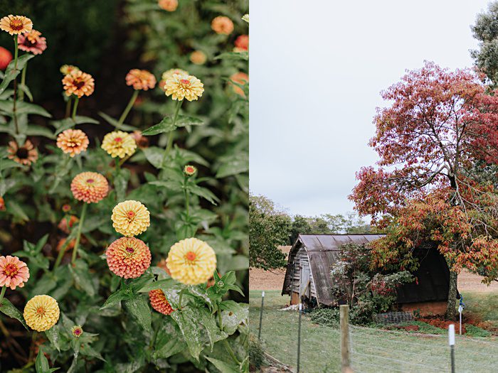 Roanoke Wedding Photographer Editorial Documentary Sperry Tented Backyard Wedding on Private Estate x Roanoke Wedding Photographer Editorial Documentary Sperry Tented Backyard Wedding on Private Estate x