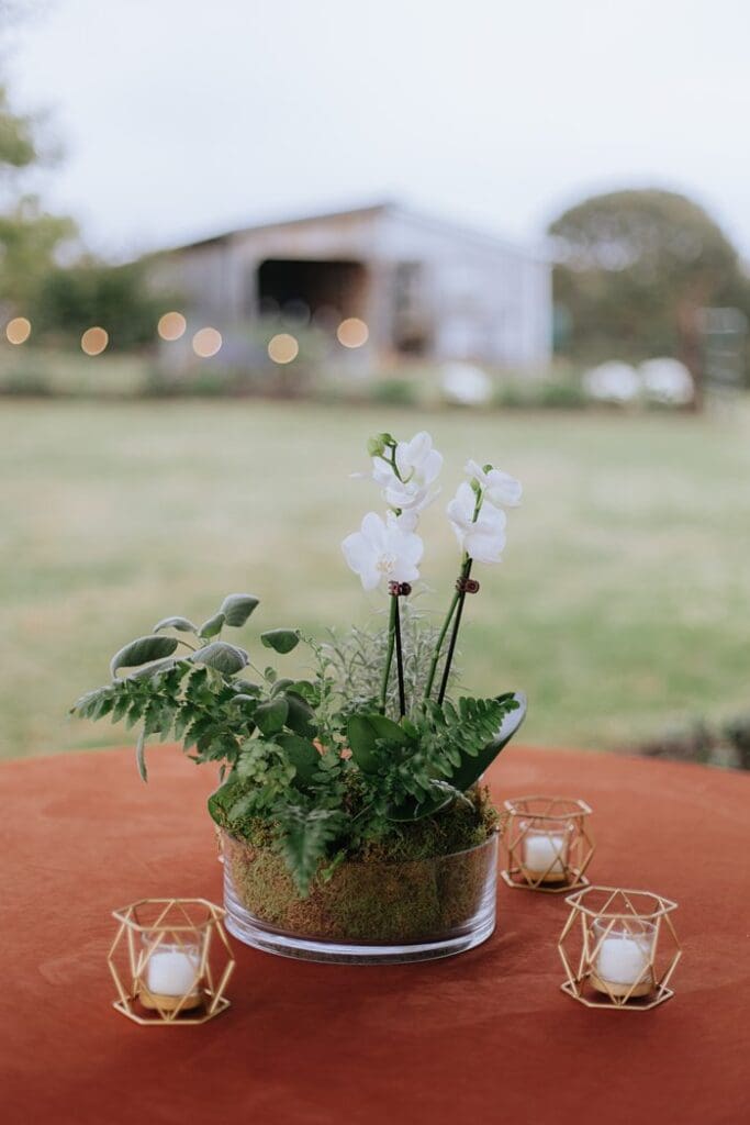Roanoke Wedding Photographer Editorial Documentary Sperry Tented Backyard Wedding on Private Estate x Roanoke Wedding Photographer Editorial Documentary Sperry Tented Backyard Wedding on Private Estate x