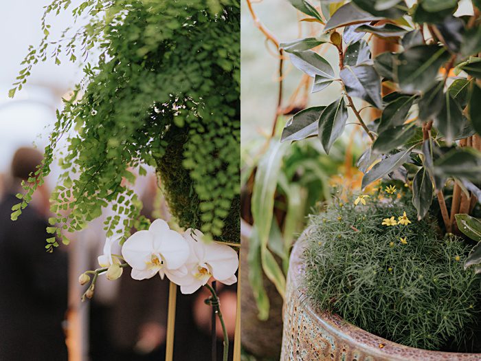 Roanoke Wedding Photographer Editorial Documentary Sperry Tented Backyard Wedding on Private Estate x Roanoke Wedding Photographer Editorial Documentary Sperry Tented Backyard Wedding on Private Estate x