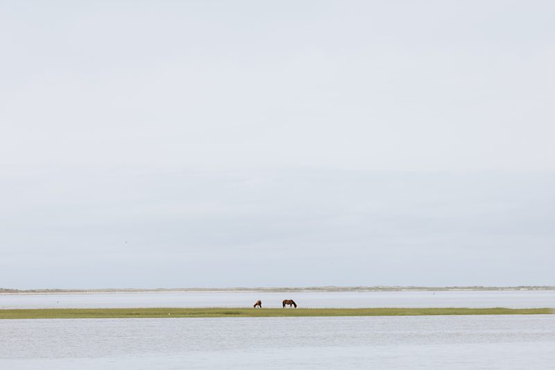 Beaufort NC Wedding Photographer x Beaufort NC Wedding Photographer x